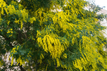 Similar image 22442909