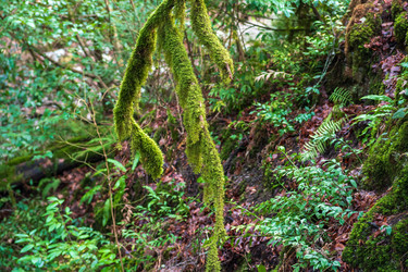 Similar image 22442912