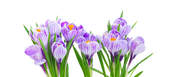 Similar image 22457117