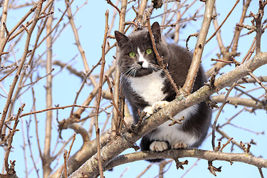 Similar image 22438533