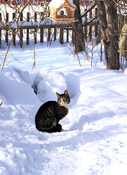 Similar image 22438534