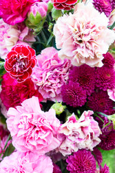 Similar image 22457242