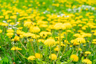 Similar image 22457243