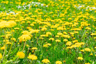 Similar image 22457244