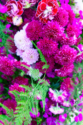 Similar image 22457245