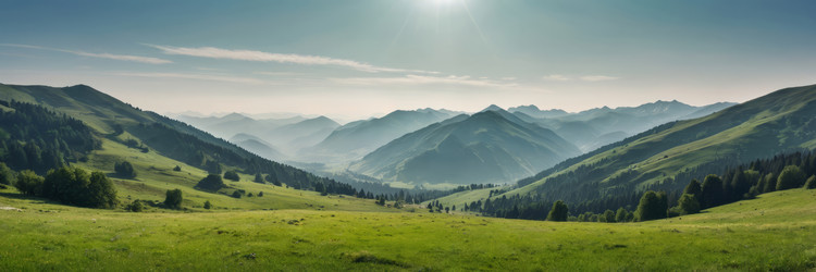 Similar image 22442844