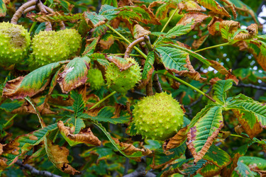 Similar image 22452592