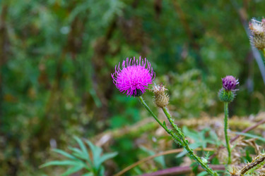 Similar image 22452593