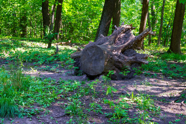 Similar image 22452594