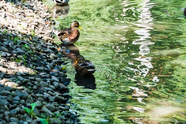 Similar image 22452597