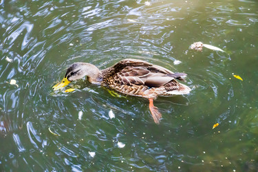 Similar image 22452598