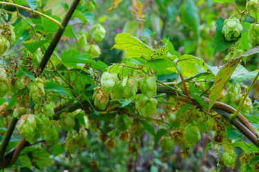 Similar image 22452606