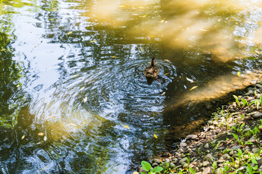 Similar image 22452607