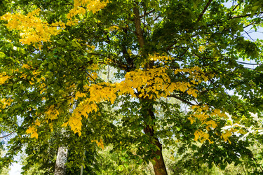 Similar image 22452609