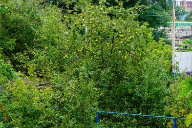 Similar image 22452610