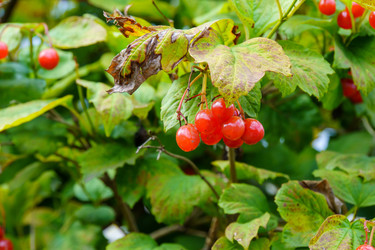 Similar image 22452614