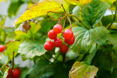 Similar image 22452622