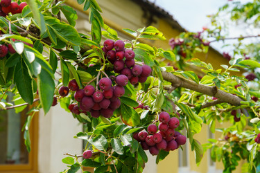 Similar image 22452624