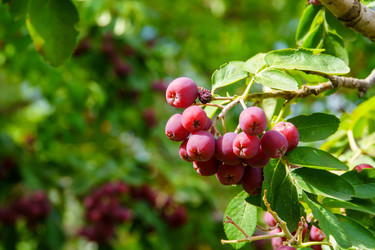 Similar image 22452627