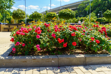 Similar image 22452630