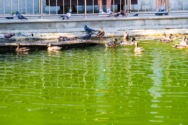 Similar image 22452631