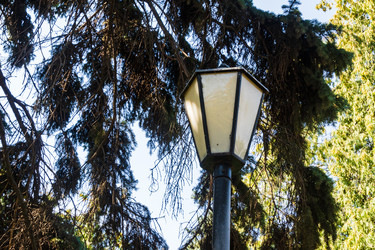 Similar image 22452632