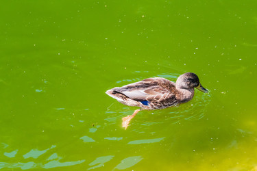 Similar image 22456539