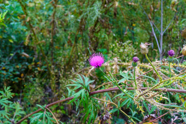 Similar image 22456541