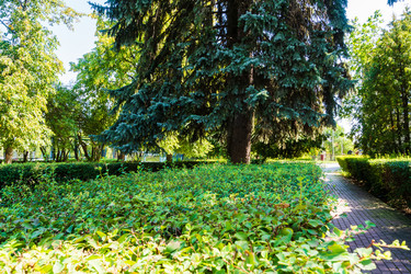 Similar image 22456542