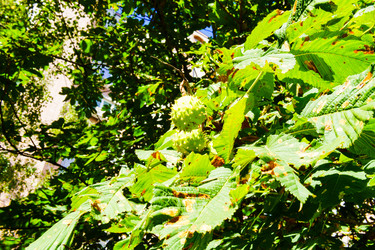 Similar image 22456551