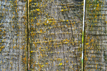 Similar image 22456553