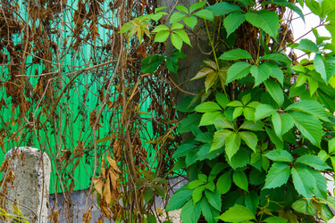 Similar image 22456554