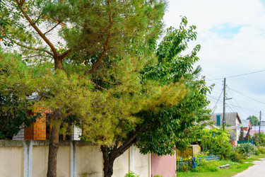 Similar image 22456556