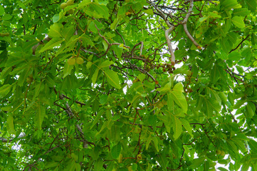 Similar image 22456559