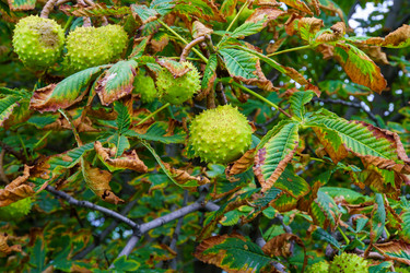 Similar image 22474631