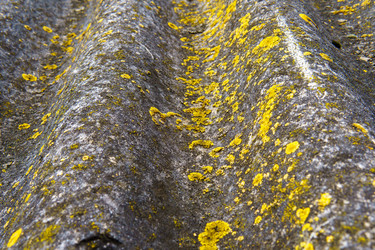 Similar image 22474632