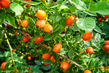 Similar image 22474633