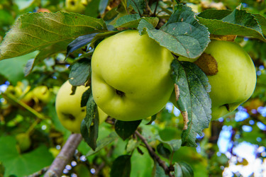 Similar image 22474637