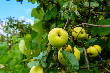 Similar image 22474638