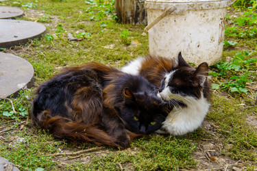 Similar image 22474639