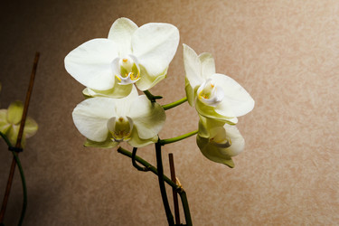 Similar image 22474640