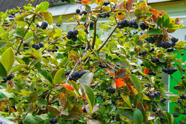 Similar image 22474642