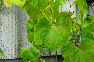 Similar image 22474644