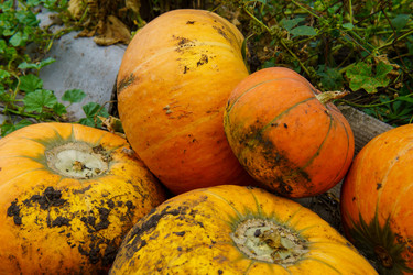 Similar image 22474645