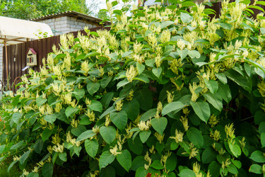 Similar image 22474647