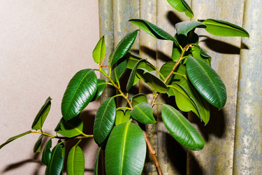 Similar image 22475430