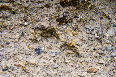 Similar image 22475431