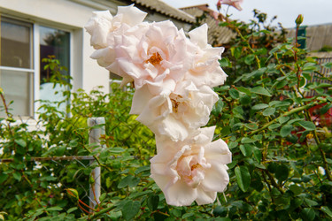 Similar image 22475447