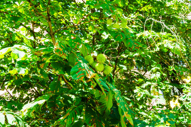 Similar image 22475449