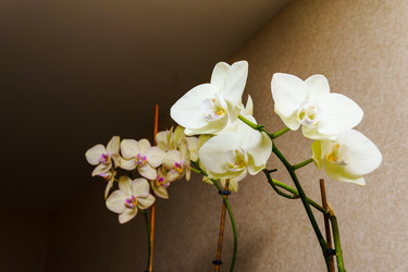 Similar image 22475451